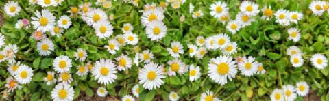 Unser Verstand mit unseren Gedanken im Hier und jetzt.