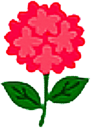 Die Rose symbolisiert die Notwendigkeit eines bewussten Lebens – voller Achtsamkeit, innerer Ruhe und liebevoller Klarheit, damit wir das Hier und Jetzt wertschätzend und sinnerfüllt gestalten.